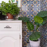بيت للعطل Douro Garden & Rooftop *