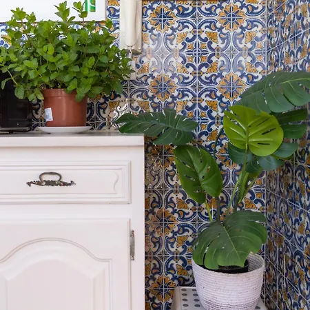 Holiday home Douro Garden & Rooftop *