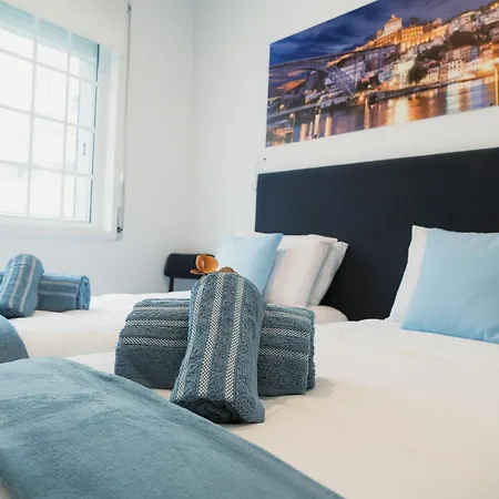Douro Garden & Rooftop Holiday home
